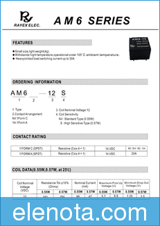 RAYEX ELECTRONICS AM6 datasheet