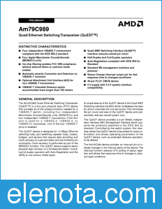 AMD Am79C989 datasheet