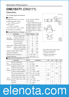 Panasonic CNC1S171 datasheet