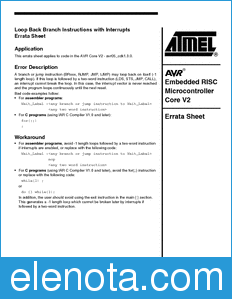 Atmel Complex ASIC Cores - Software datasheet