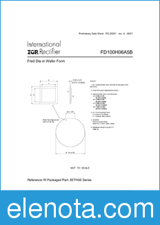 International Rectifier FD100H06A5B datasheet