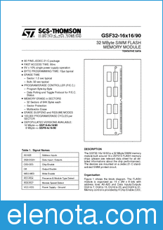 STMicroelectronics GSF32-16X16/90 datasheet