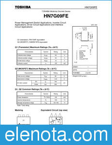 Toshiba HN7G09FE datasheet