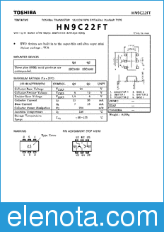 Toshiba HN9C22FT datasheet
