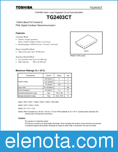 Toshiba TG2403CT datasheet
