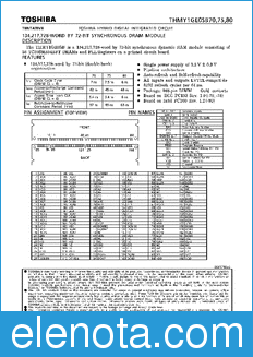 Toshiba THMY1GE0SB70 datasheet