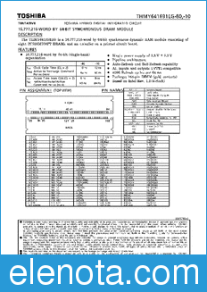 Toshiba THMY641691EG-10 datasheet