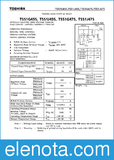 Toshiba TSS1G45S datasheet